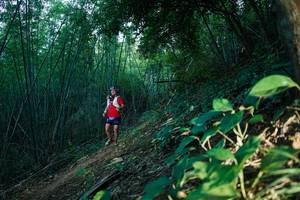 BIB: 
                            <button type="button" onclick="openModal(28124835)" class="btn btn-primary btn-sm float-right btn-popup" data-toggle="modal" data-target=".modal-high-quality">
                        <i class="fas fa-shopping-cart"></i> Add to Cart
                    </button>
                                            <button type="button" onclick="isThisMe(28124835, true)" class="btn btn-success btn-sm float-right btn-popup btn-isme hidden" data-toggle="tooltip" data-placement="bottom" title="นี่คือรูปของคุณใช่ไหม คลิกที่นี่เพื่อเอาเข้าอัลบั้ม">
                        <i class="fas fa-plus"></i> Add to album
                    </button>
                    <button type="button" onclick="isThisMe(28124835, false)" class="btn btn-warning btn-sm float-right btn-popup btn-isnotme hidden">
                        <i class="fas fa-ban"></i> Remove from album
                    </button>